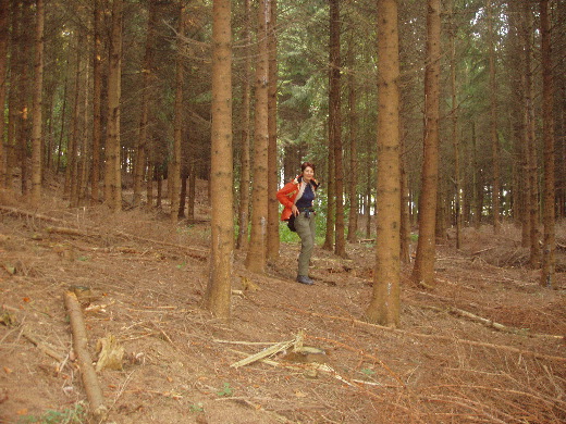 Van hieruit zijn we dwars door het bos gelopen om aansluiting te vinden op een bospad voor de terugweg.