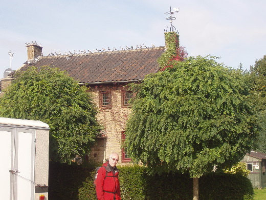 Het huis van de duivenmelker van Millen.