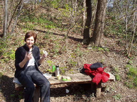 De lunch in het bos. Broodje kipsalade.