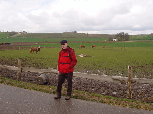 Schone achtergond.  Moddersporen in de  voorgrond waar de paarden komen bedelen om aandacht.