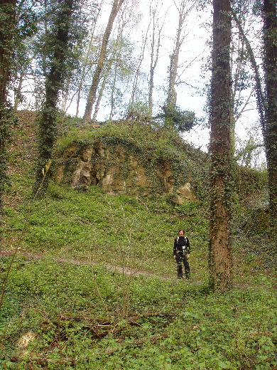 Achter de hoeve in de bossen bij Neerkanne.