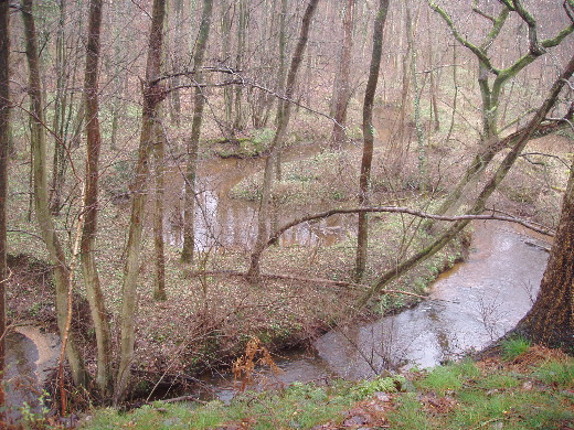 De Zelderbeek.